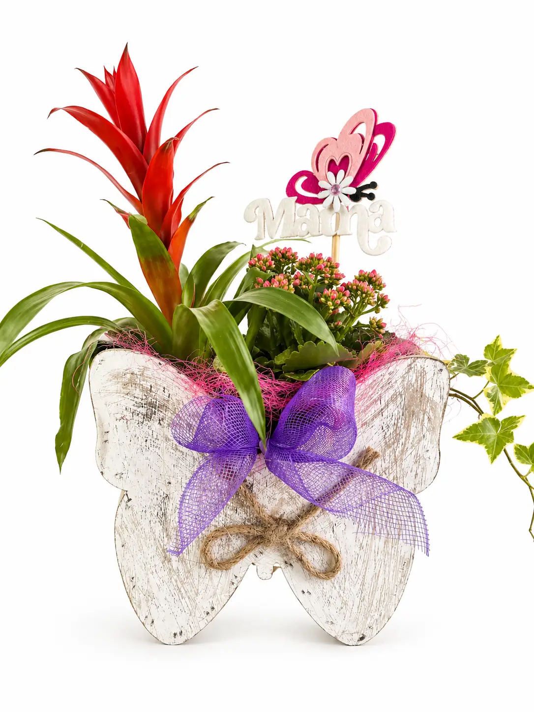 Bromelia roja con mariposa decorativa