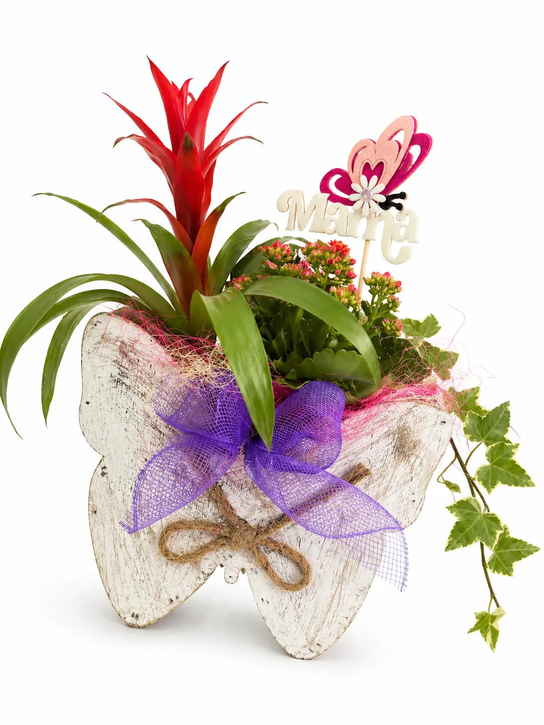 Bromelia roja con mariposa decorativa - Vista 3
