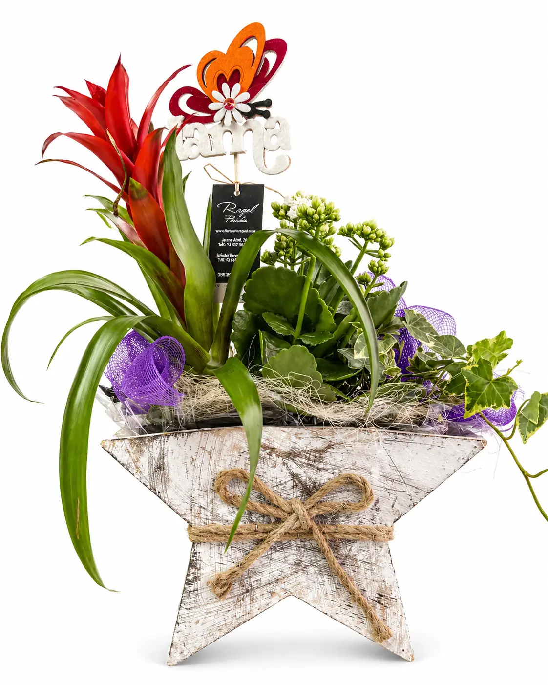 Bromelia roja en estrella rústica - Vista 3