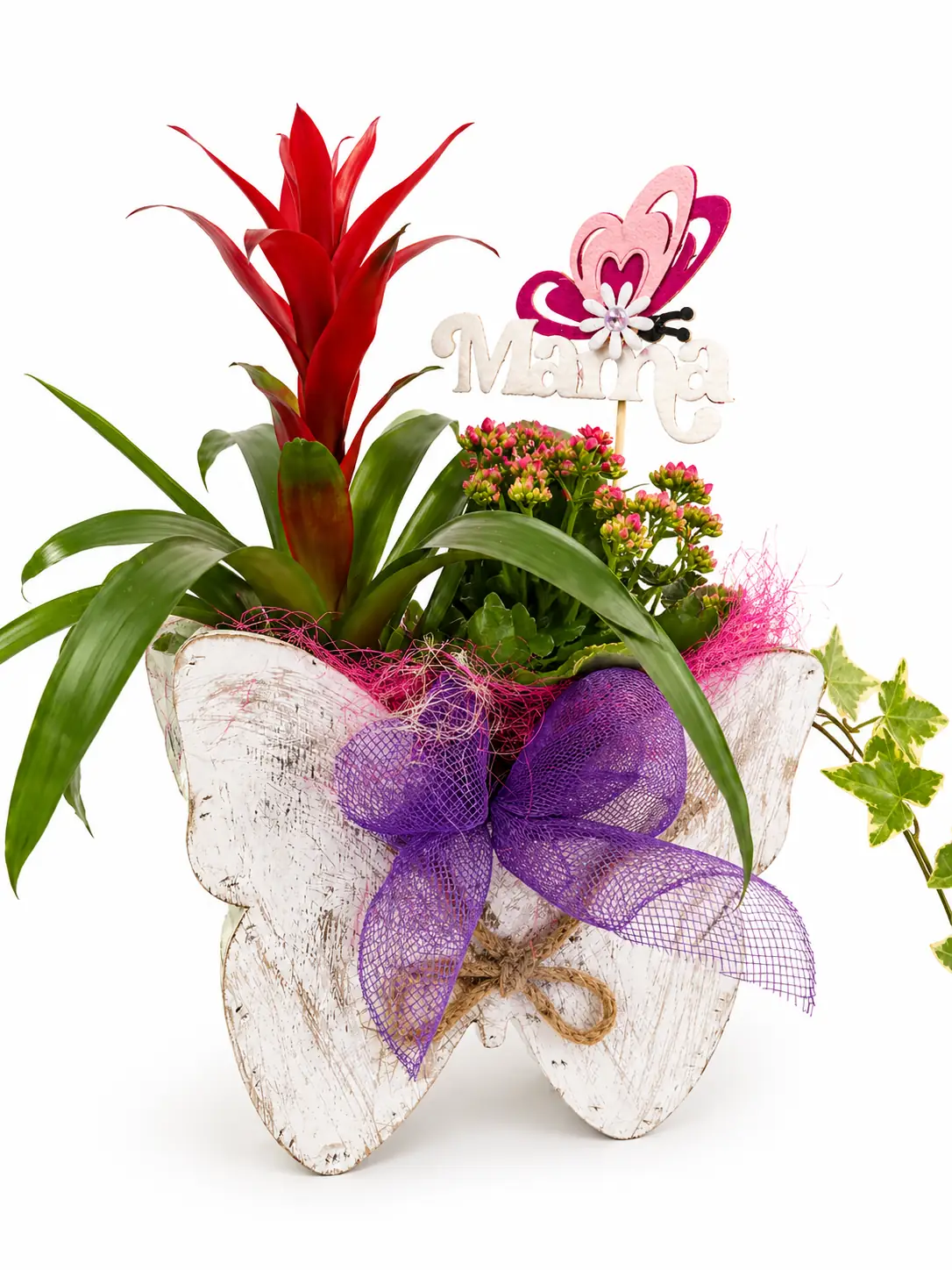 Bromelia roja con mariposa decorativa - Vista 2