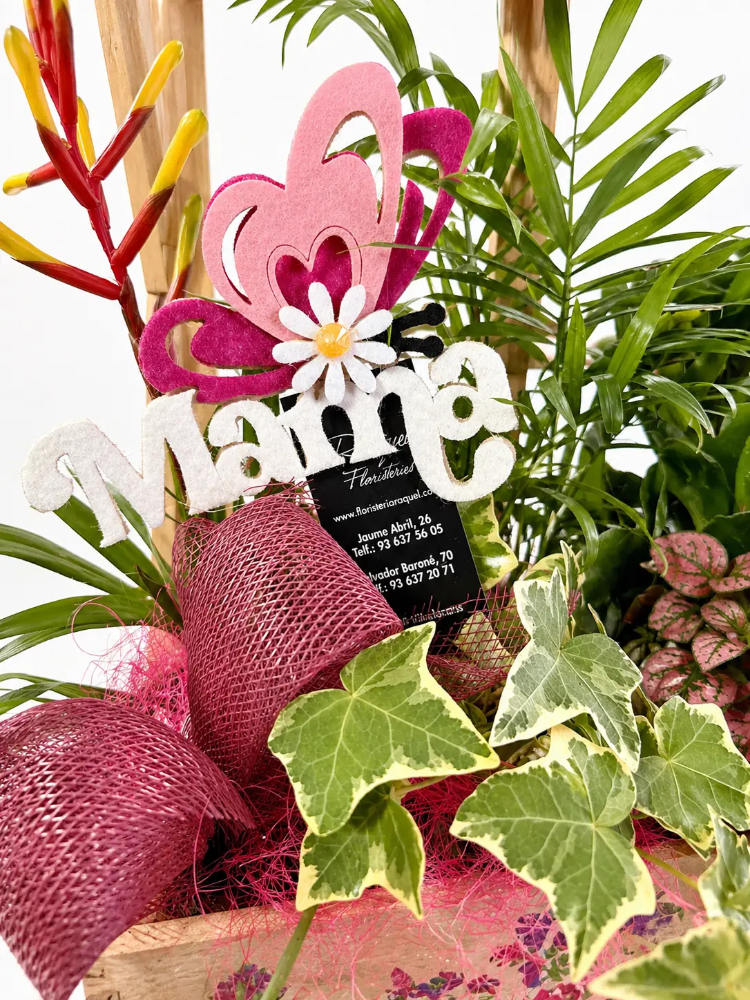 Caja Decorativa con Plantas Naturales - Vista 3