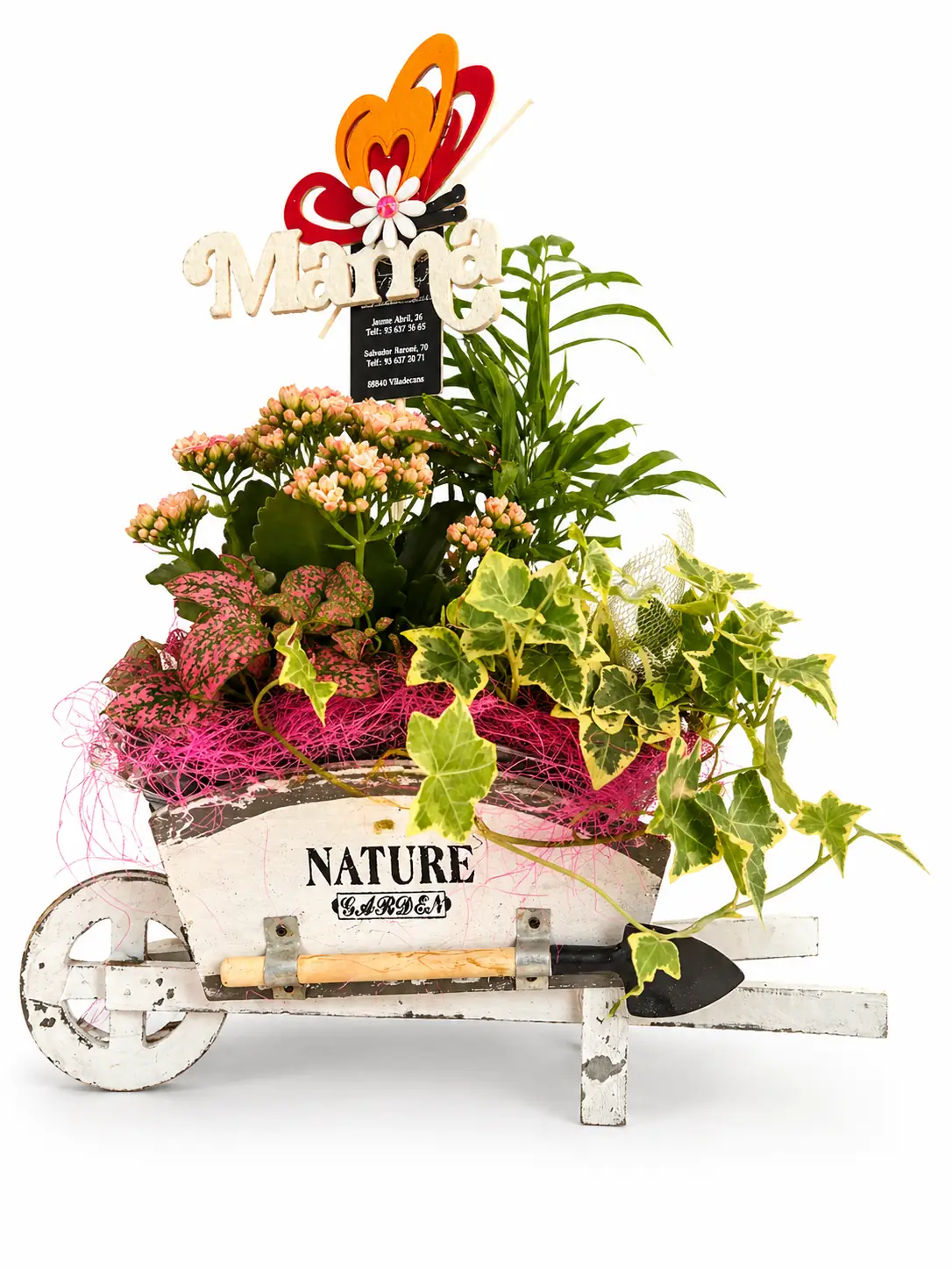 Plantas  variadas en carrito decorativo - Vista 3