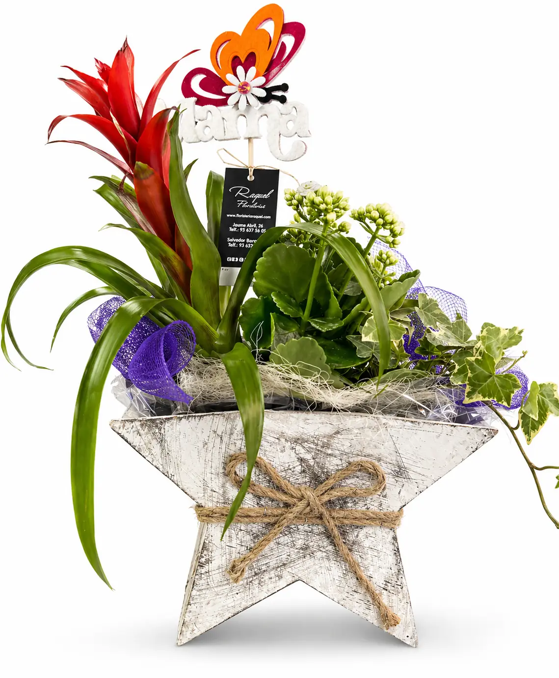 Bromelia roja en estrella rústica