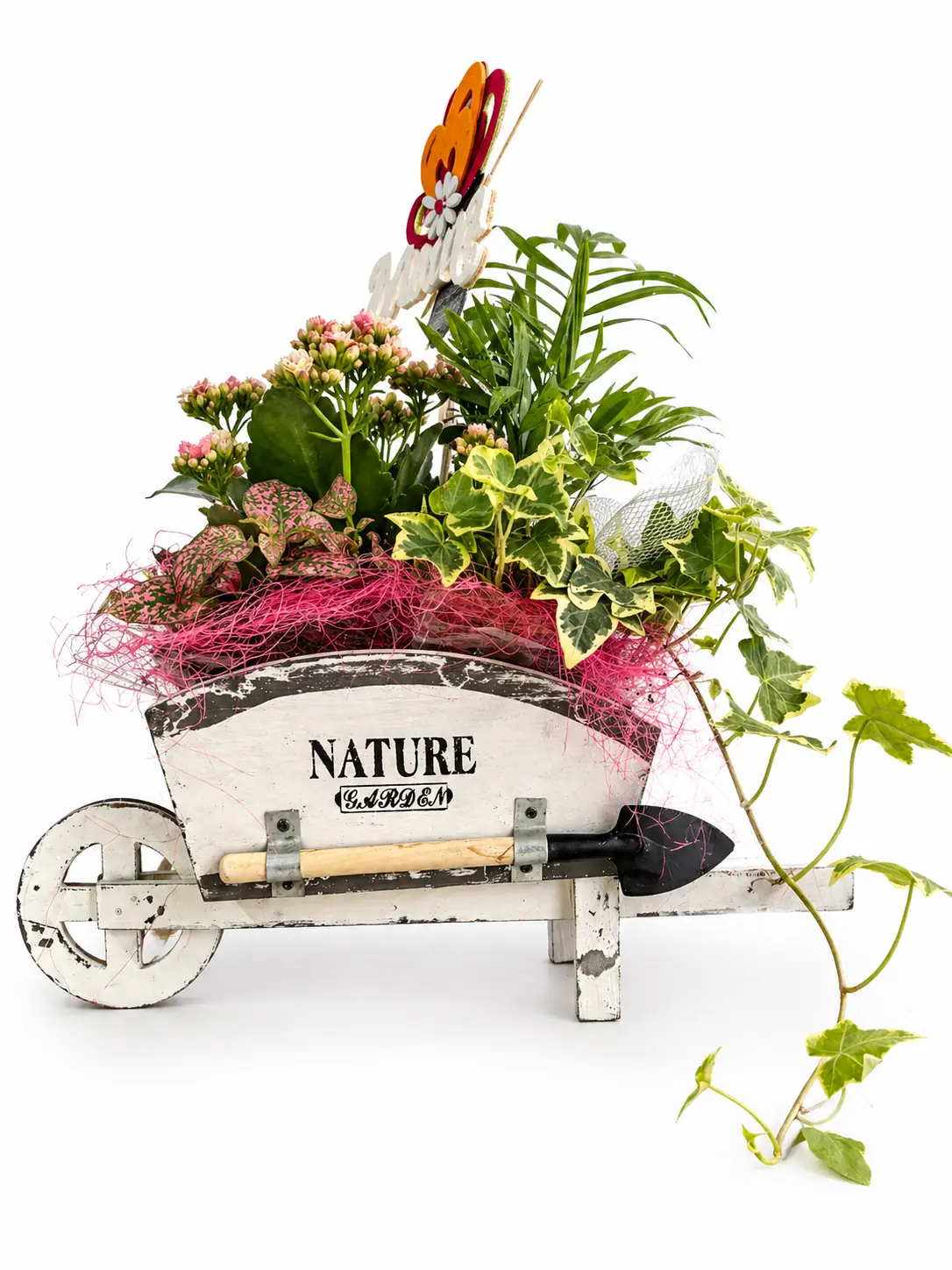 Plantas  variadas en carrito decorativo