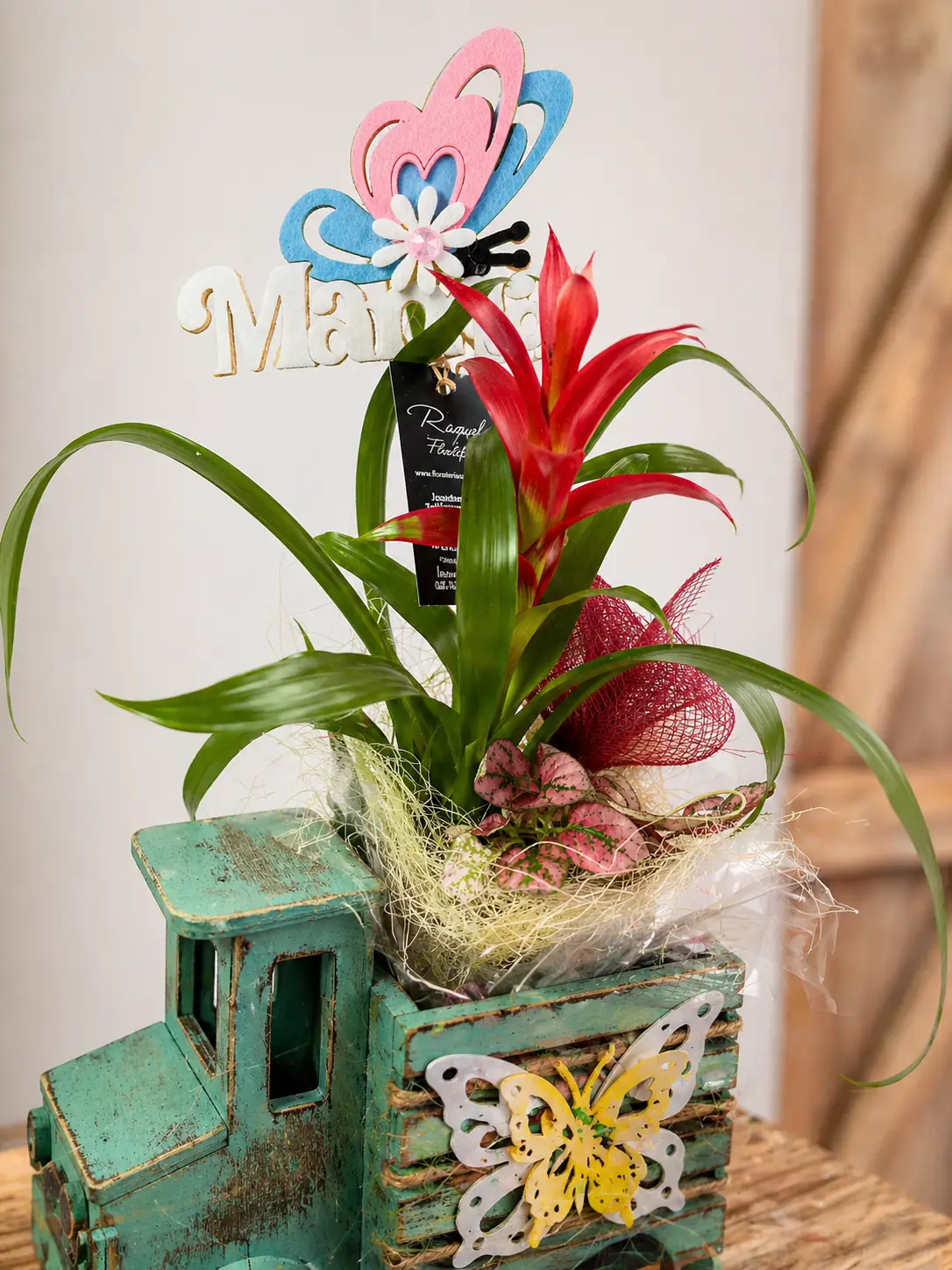 Camion Vintage con Bromelia Roja - Vista 2