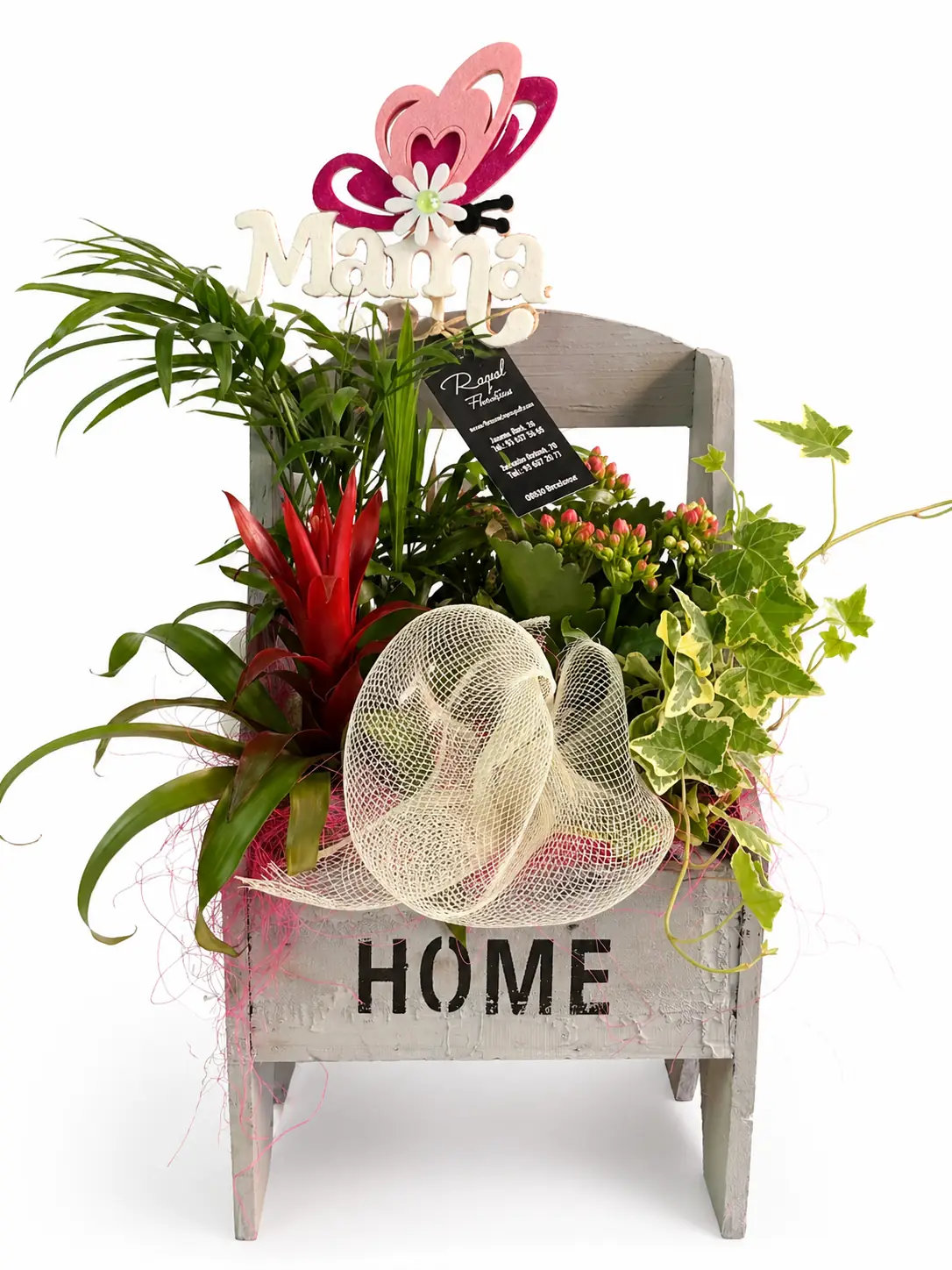 Plantas variadas en caja decorativa “Home” - Floradomicilio