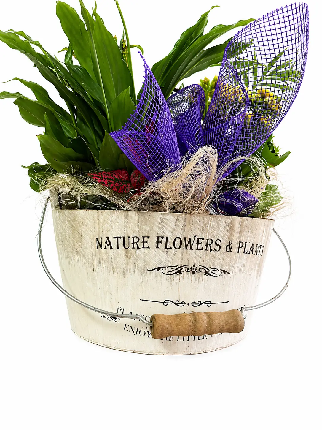 Plantas variadas en cubo decorativo - Vista 3