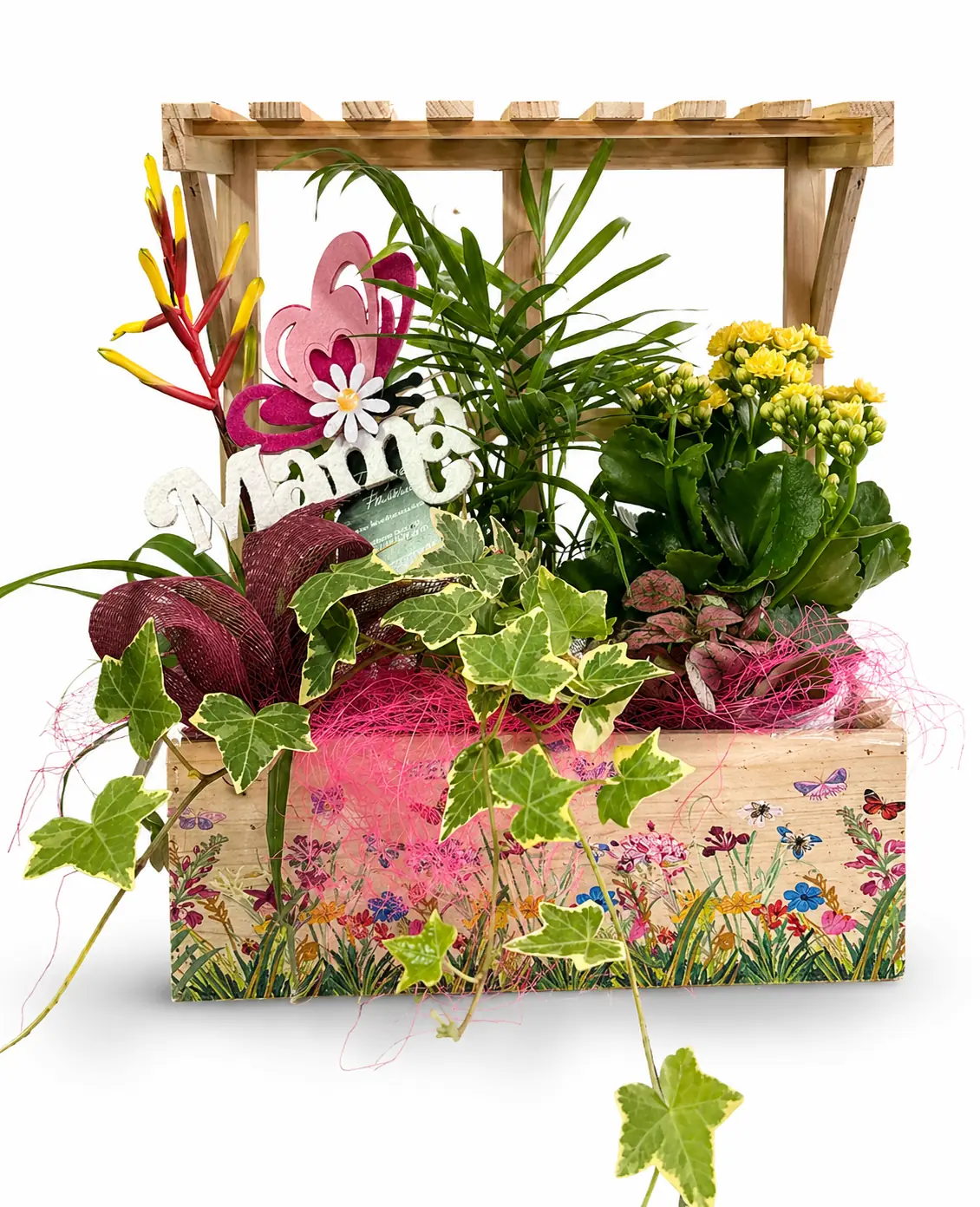 Caja Decorativa con Plantas Naturales