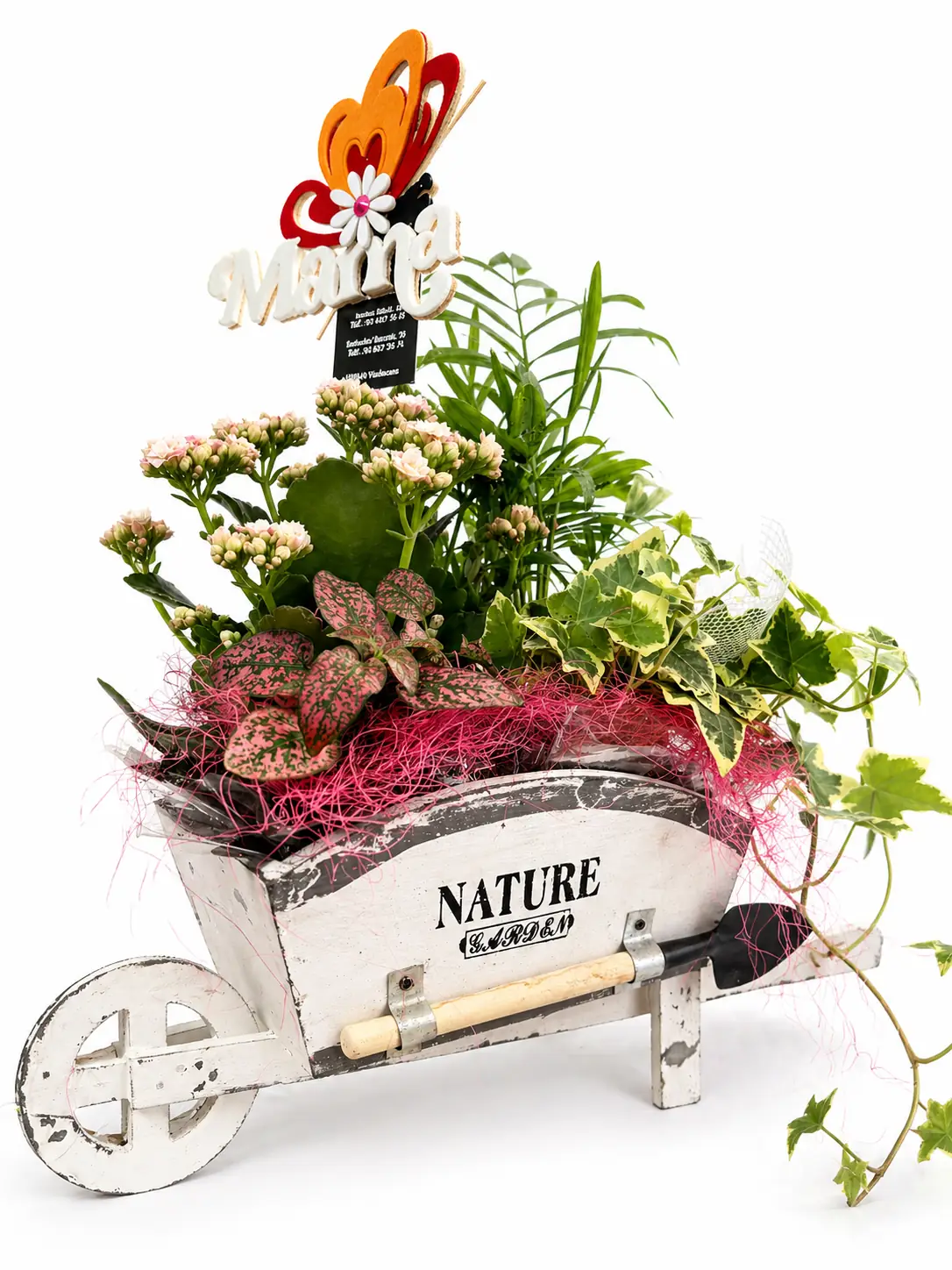 Plantas  variadas en carrito decorativo - Vista 4