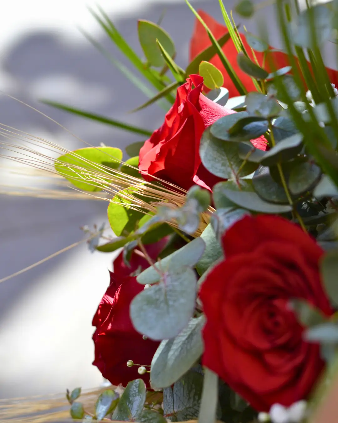 Ramo de 12 Rosas Rojas Sant Jordi - Vista 3