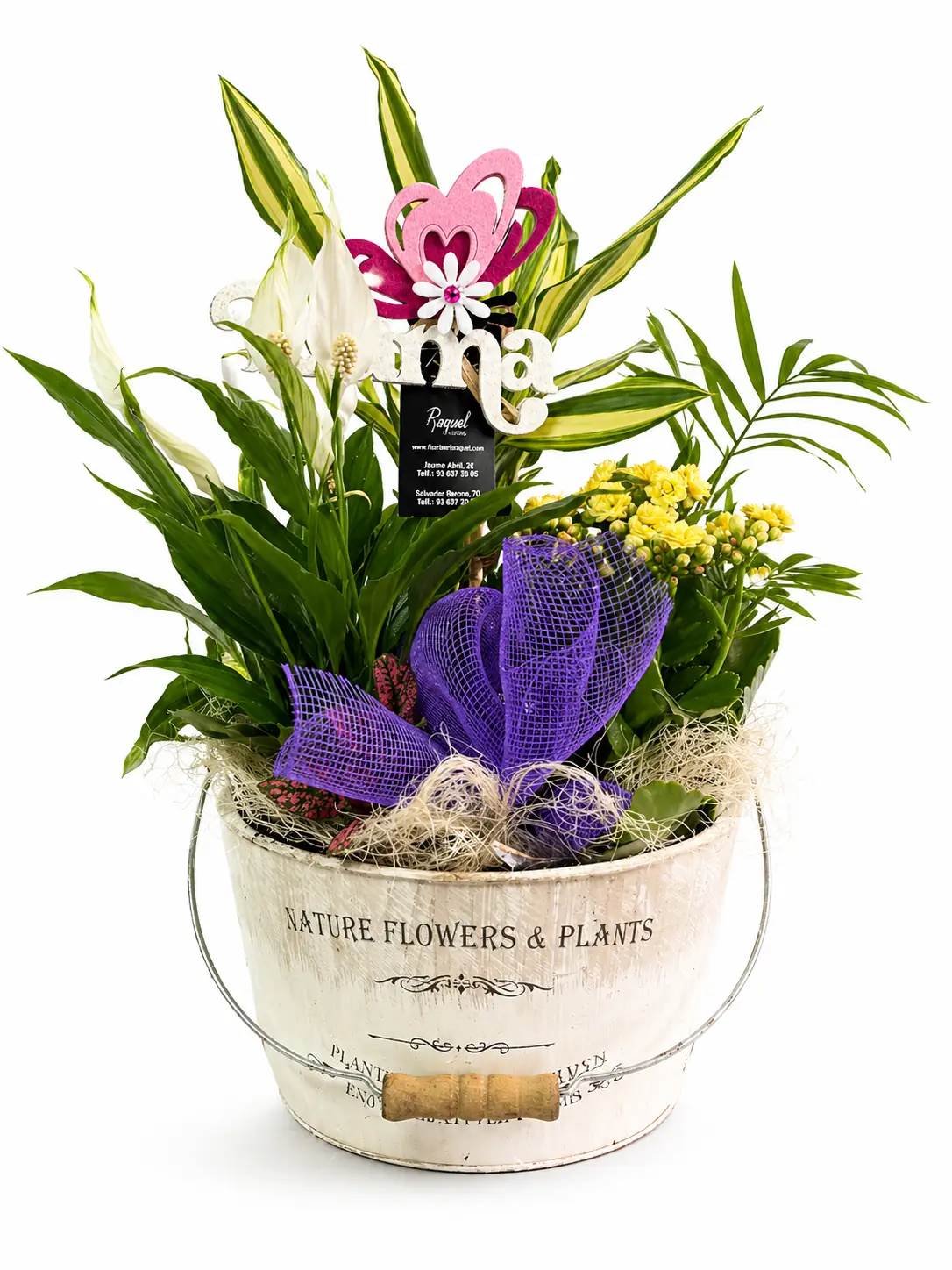 Plantas variadas en cubo decorativo