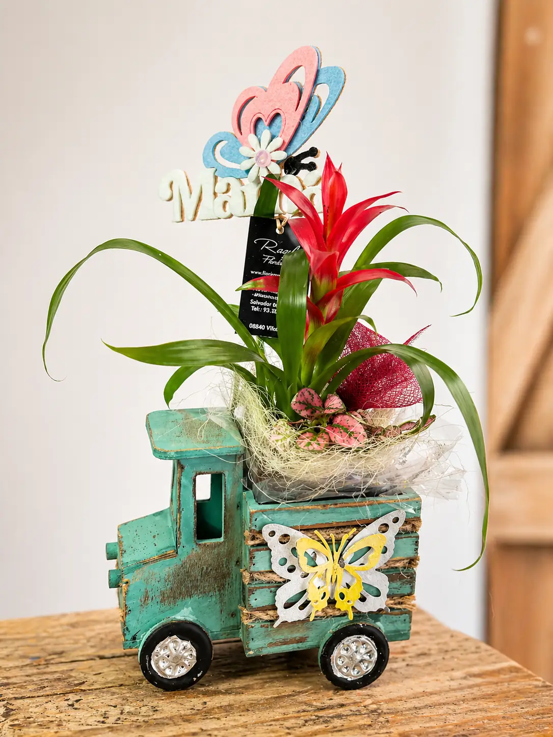 Camion Vintage con Bromelia Roja - Vista 3