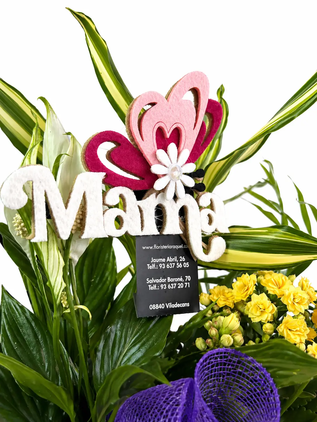 Plantas variadas en cubo decorativo - Vista 2