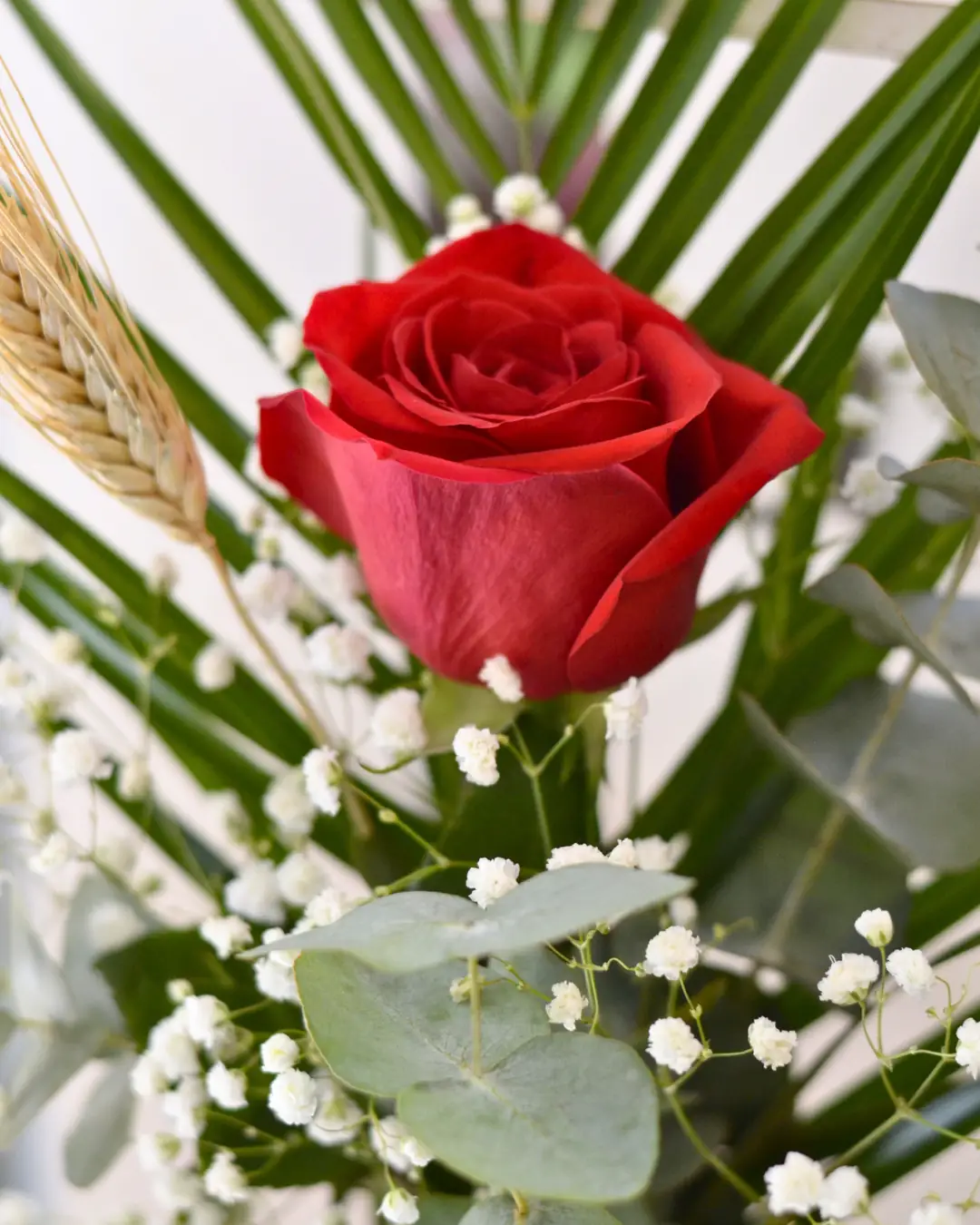 Rosa Roja con Figura de Reina - Vista 4