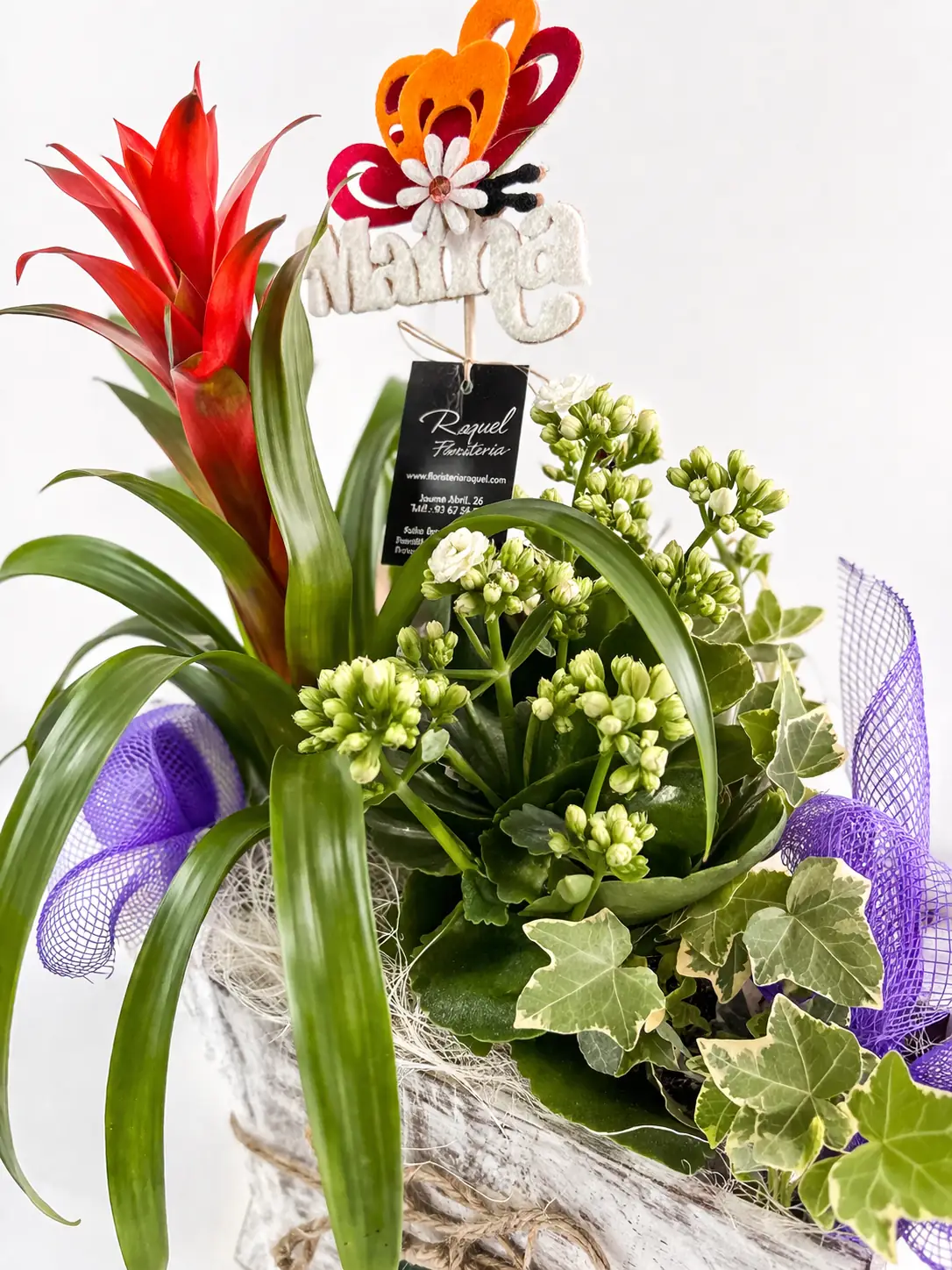 Bromelia roja en estrella rústica - Vista 2