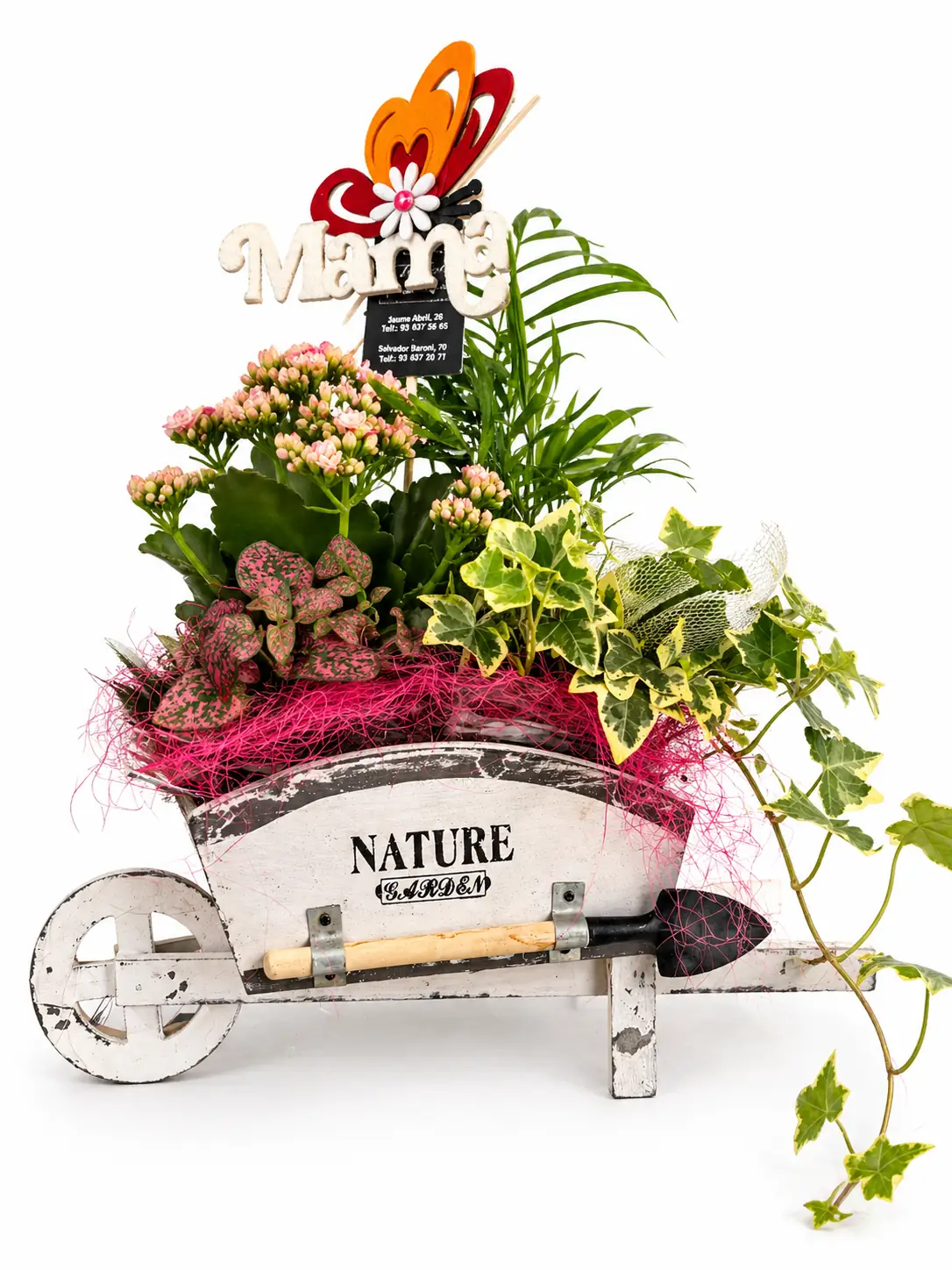 Plantas  variadas en carrito decorativo - Vista 2