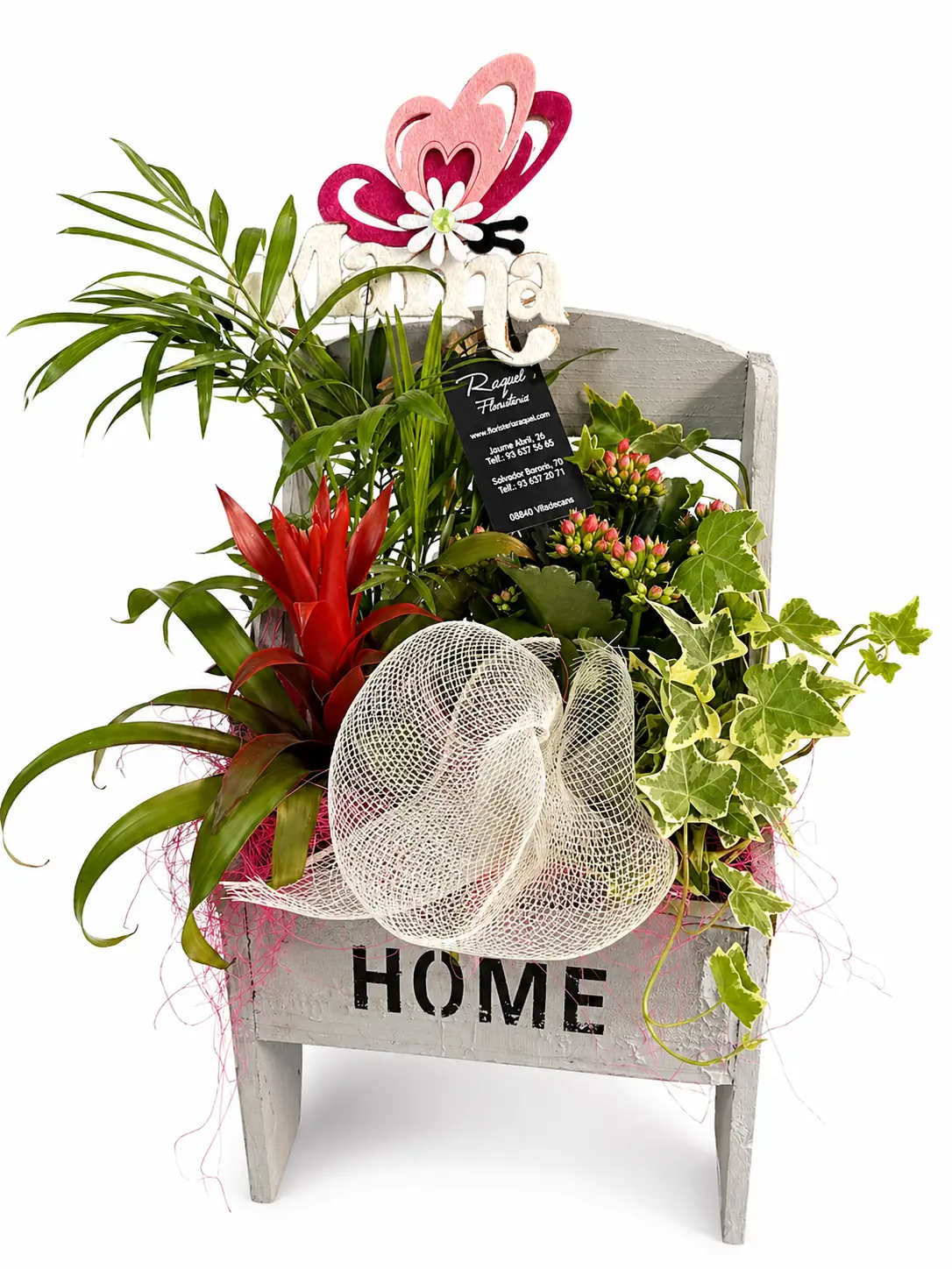Plantas variadas en caja decorativa “Home” - Vista 4